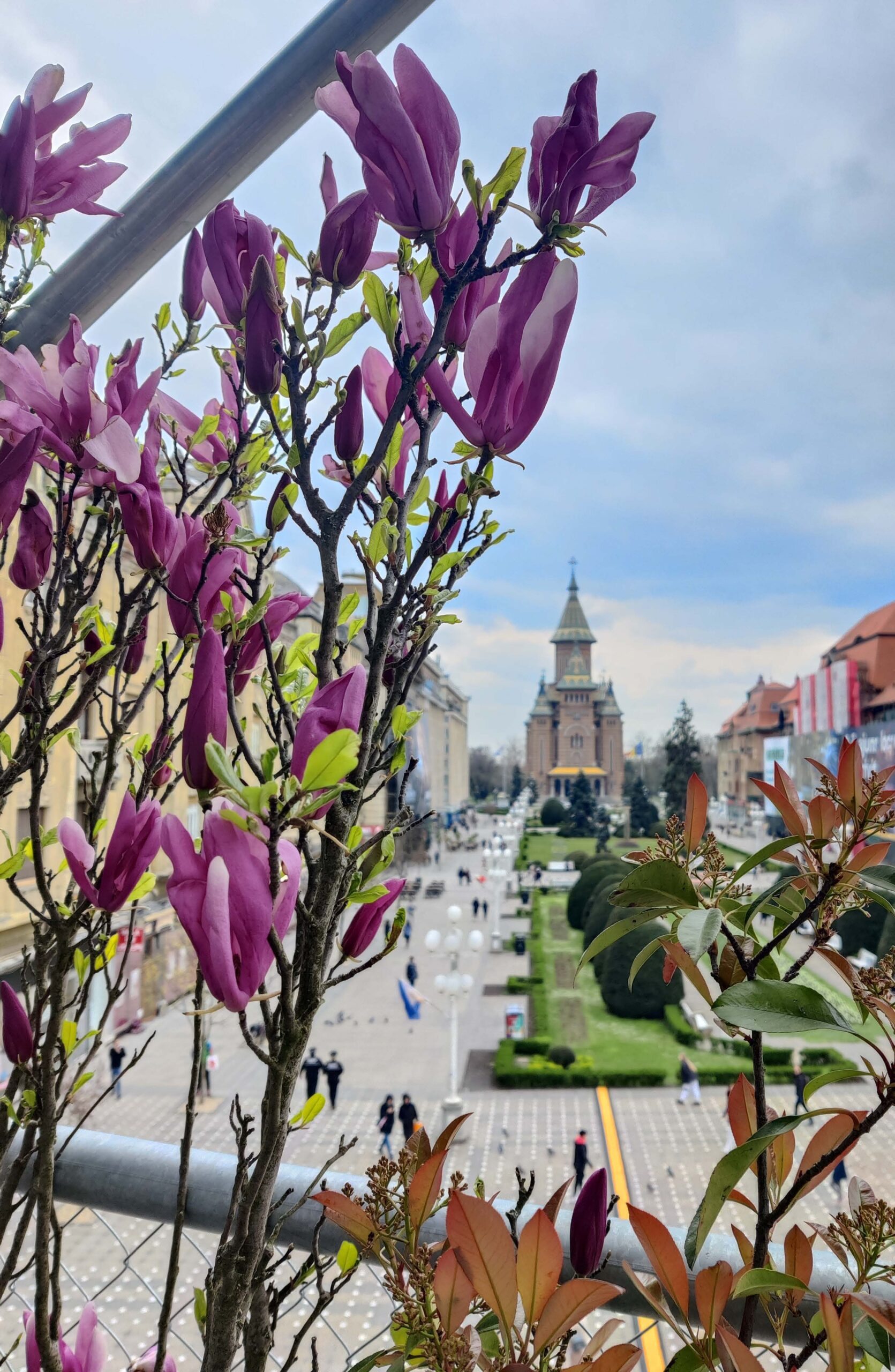 victoriei